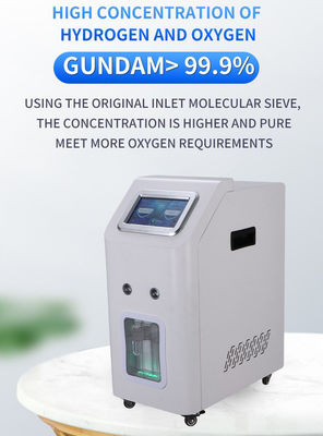 Good price 수소 흡입 3000ml 및 수소 바이오 연료 가정용 PEM 연료전지 Weizi 온라인으로