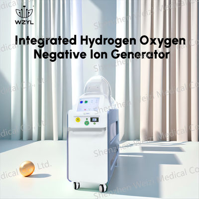 Good price 7L/min 클리닉 음성 이온 수소 산소 흡입기 1000W 혈액 순환을 개선합니다 온라인으로