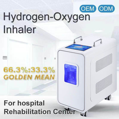 Good price 110v 220v 가정용 PEM 수소 흡입 치료 기계 3000ml 온라인으로