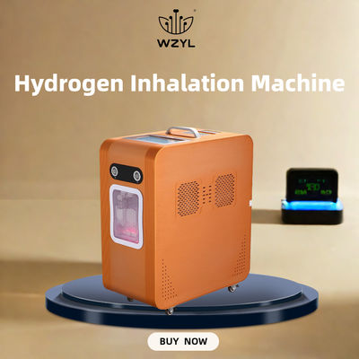 Good price AC220V 수소 산소 흡입기 수소 흡입기 3000ml/M 온라인으로