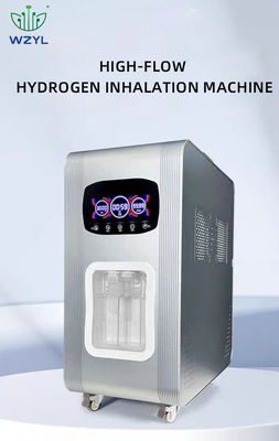 Good price 공장 전압 3000ml 수소 흡입기 새로운 디자인 모델 의료 등급 야외 데스크톱 사용을위한 RV Weizi 온라인으로
